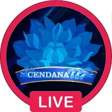 cendana777 Terbaru: Download APK Resmi dan Aman